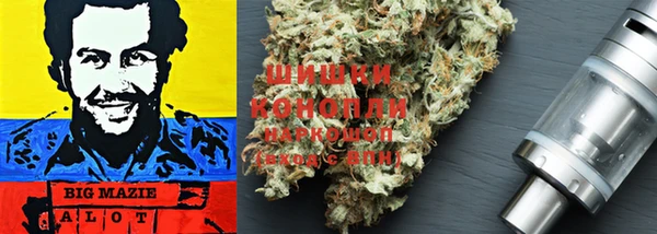 прущие грибы Остров