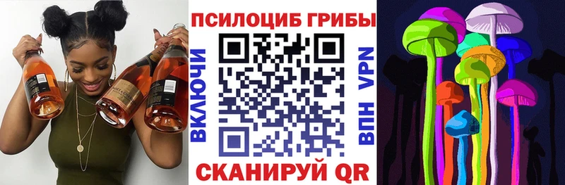 купить наркоту  Артёмовск  Псилоцибиновые грибы Cubensis 